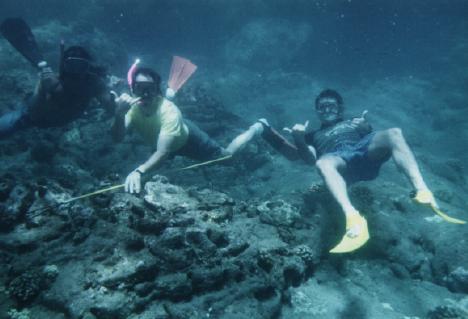 diveguys.jpg